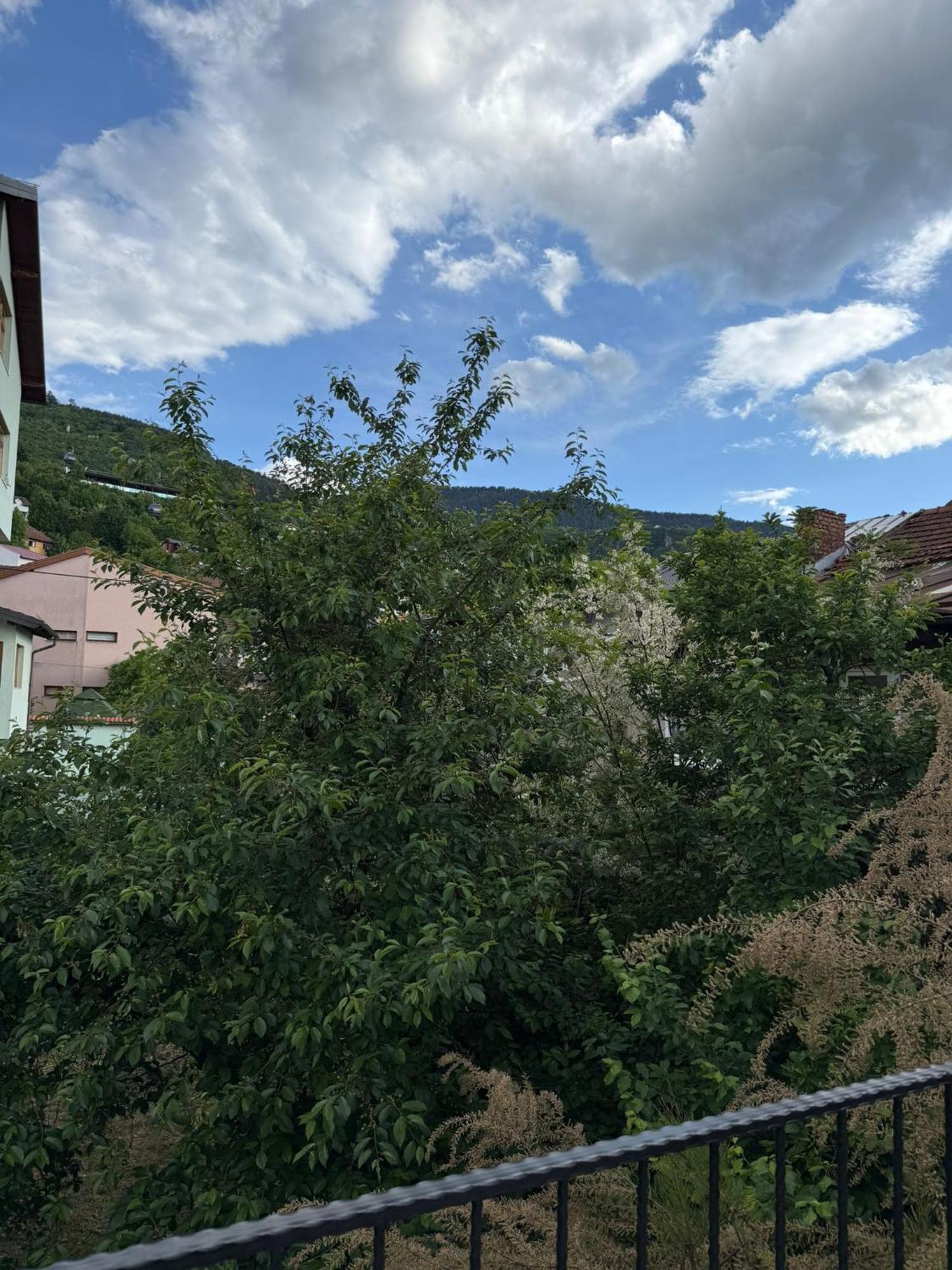 528 Apartment